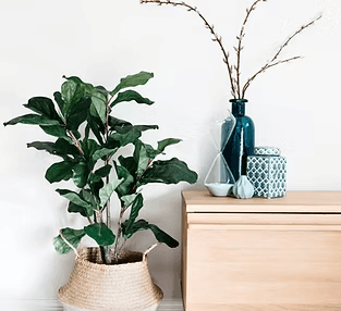 家具・小物コーディネート